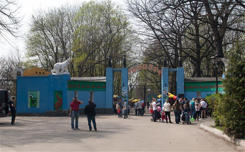 Động vật vườn thú Ukraine sắp chết đói vì khủng hoảng ảnh 1